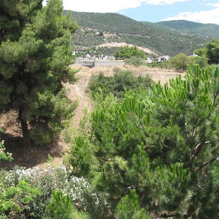 Aiolos Loutra Edipsou  Esterno foto