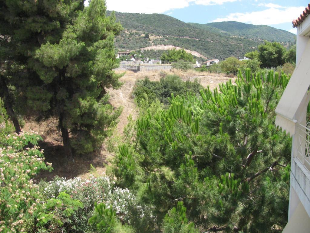 Aiolos Loutra Edipsou  Esterno foto